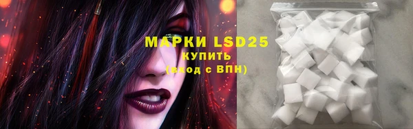 мдпв Богданович