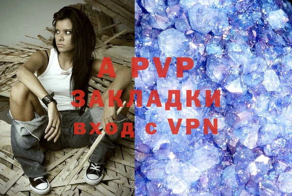 мдпв Богданович